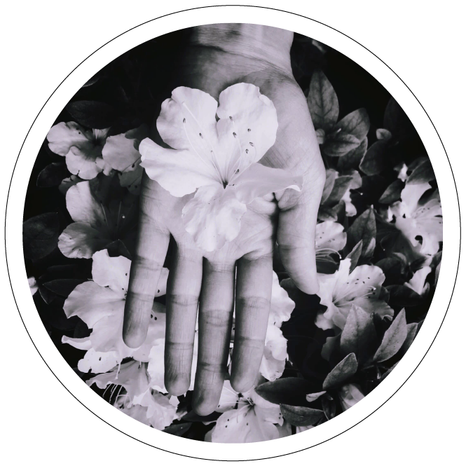 Photo d'une main avec une fleur dans la paume